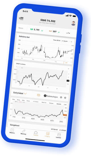Provor Wealth digital web application on mobile device